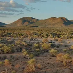 Weite Savannenlandschaft mit Büschen und Bergen im Hintergrund.